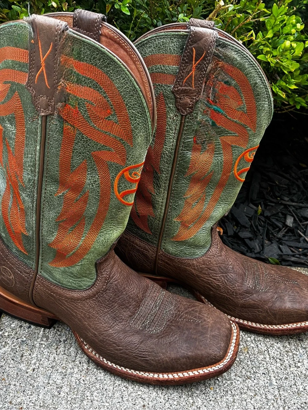 Hooey Twisted X boots
